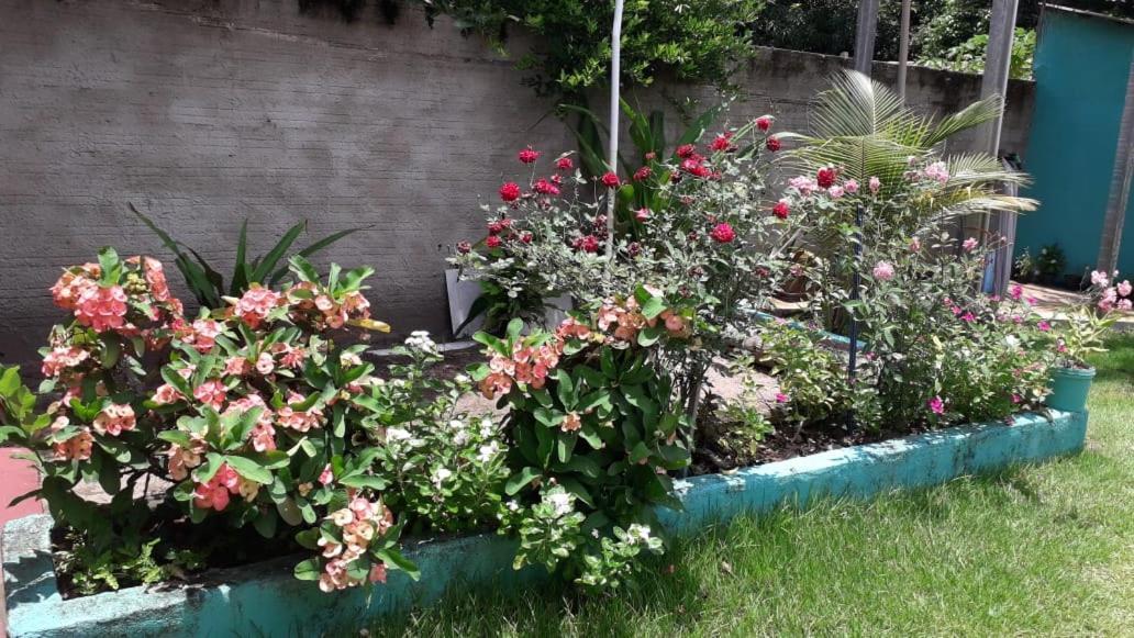 אלטר דו צ'או Pousada Tropicaliente מראה חיצוני תמונה